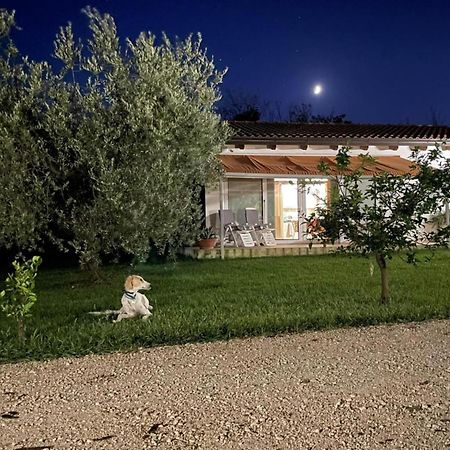Villetta Bianca Pisticci-Matera Εξωτερικό φωτογραφία